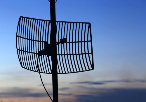 low-angle-view-bird-cage (1)